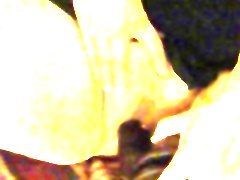 Granny mexicana bbw has oral sex